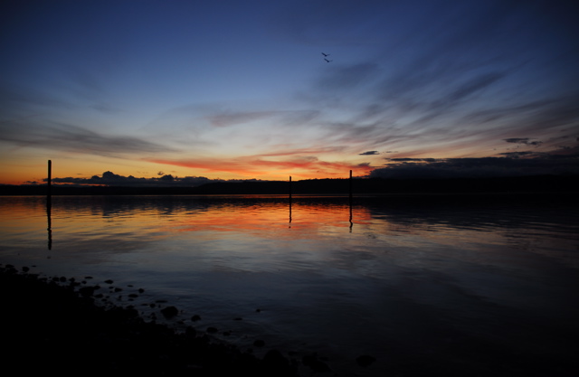 Hood Canal Washington