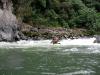 Chris kayaking the Cosanga River